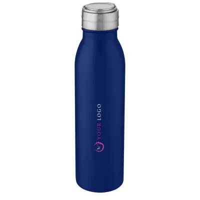 Harper 700 Ml Stainless Steel Sport Bottle With Metal Loop