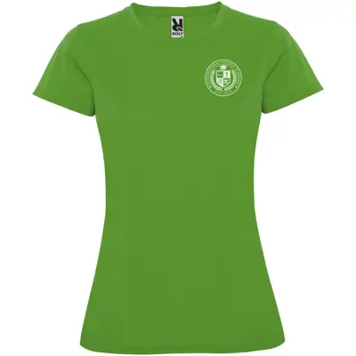 Green Fern